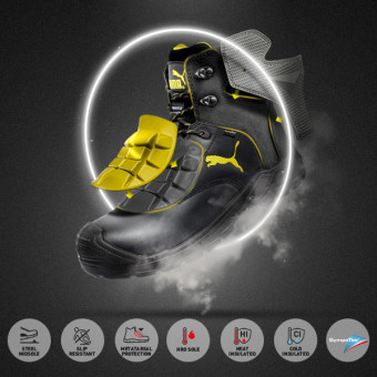 Vista previa: BORNEO MT MID Vista previa: BORNEO MT MID