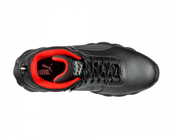 CONDOR MID