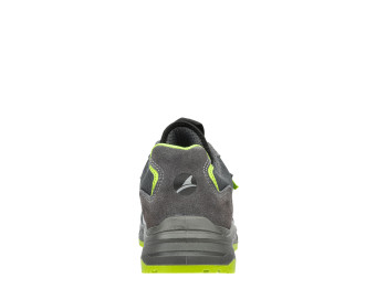 Vista previa: AXIS GREEN LOW Vista previa: AXIS GREEN LOW