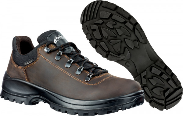 EIGER CTX LOW