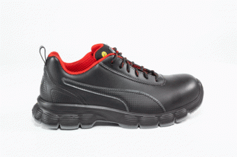 Vista previa: CONDOR LOW Vista previa: CONDOR LOW